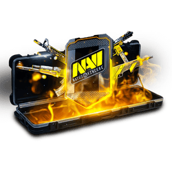 Five Сent Сase case cs go