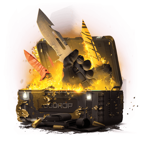 Five Сent Сase case cs go